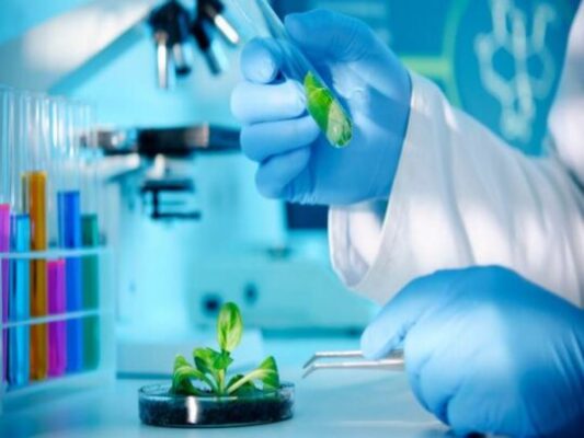 Những Thông Tin Cần Biết Về Ngành Công Nghệ Sinh Học? Ai Phù Hợp Với Ngành 3 Các chuyên ngành của ngành công nghệ sinh học
