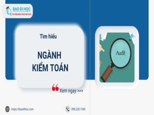 Ngành Kiểm Toán Là Gì ? Ai Phù Hợp ? Cơ Hội Nghề Nghiệp 1 Ngành Kiểm Toán Là Gì ? Ai Phù Hợp ? Cơ Hội Nghề Nghiệp
