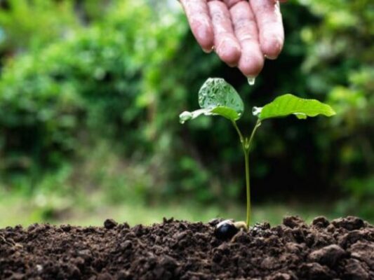 Tìm Hiểu Về Ngành Quản Lý Tài Nguyên Và Môi Trường 4 Cơ hội nghề nghiệp của ngành quản lý tài nguyên và môi trường là gì ?