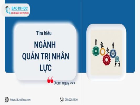 Ngành Quản Trị Nguồn Nhân Lực Là Gì ? Nên Lựa Chọn Học Ngành Quản Trị Nhân Lực Ở Đâu ? 1 Ngành Quản Trị Nguồn Nhân Lực Là Gì ? Nên Lựa Chọn Học Ngành Quản Trị Nhân Lực Ở Đâu ?