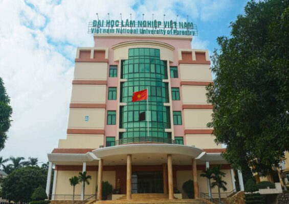 Điểm Chuẩn Đại Học Lâm Nghiệp 2022 Đầy Đủ Chính Xác 1 Thông Báo Điểm Chuẩn Đại Học Lâm Nghiệp 2022 Đầy Đủ