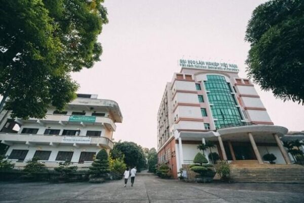 Thông Báo Điểm Chuẩn Đại Học Lâm Nghiệp 2021 Chuẩn Xác 1 Thông Báo Điểm Chuẩn Đại Học Lâm Nghiệp 2021 Chuẩn Xác
