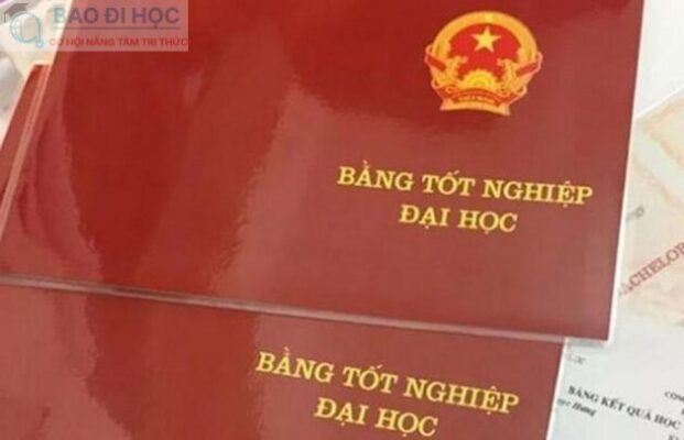 Đại Học Từ Xa Ngành Giao Thông Vận Tải Có Những Gì ? 13 Chứng chỉ và bằng cấp Đại học từ xa ngành Giao Thông Vận Tải