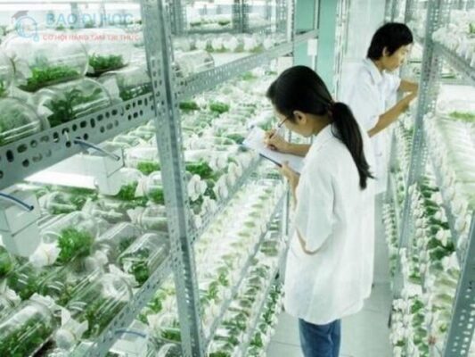 Trung Cấp Từ Xa Ngành Bảo Vệ Thực Vật Có Thông Tin Gì ? 3 Trung Cấp Từ Xa Ngành Bảo Vệ Thực Vật Có Thông Tin Gì ?