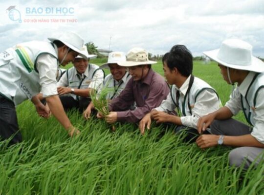 Trung Cấp Từ Xa Ngành Bảo Vệ Thực Vật Có Thông Tin Gì ? 6 Trung Cấp Từ Xa Ngành Bảo Vệ Thực Vật Có Thông Tin Gì ?