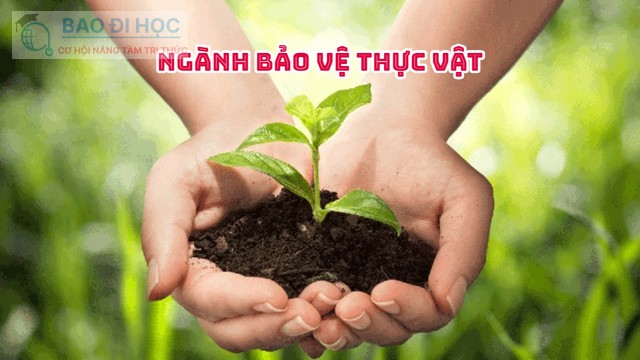 Trung Cấp Từ Xa Ngành Bảo Vệ Thực Vật Có Thông Tin Gì ? 1 Trung Cấp Từ Xa Ngành Bảo Vệ Thực Vật Có Thông Tin Gì ?