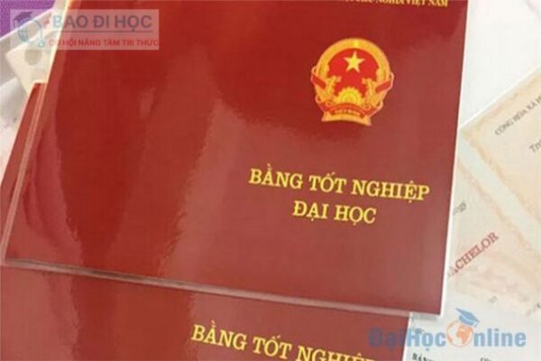 Đại Học Từ Xa Là Gì Và Các Điều Cần Biết Về Đại Học Từ Xa 8 Đại Học Từ Xa Là Gì Và Các Điều Cần Biết Về Đại Học Từ Xa