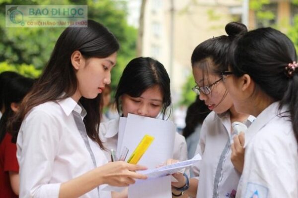 Khối N Gồm Những Môn Học Nào, Ngành Nào Và Thi Trường Gì ? 2 Khối N Gồm Những Môn Học Nào, Ngành Nào Và Thi Trường Gì ?