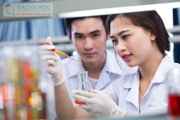 Hoc Liên Thông Đại Học Từ Xa Ngành Dược Có Những Gì ? 15 Hoc Liên Thông Đại Học Từ Xa Ngành Dược Có Những Gì ?