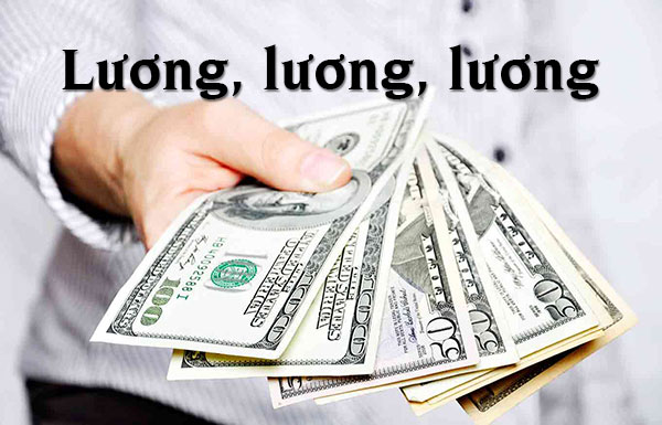 Học Trung Cấp Từ Xa Ngành Nấu Ăn Có Những Thông Tin Gì ? 7 Mức thu nhập của Trung cấp từ xa ngành Nấu Ăn sau khi tốt nghiệp