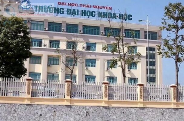 Ngành Du Lịch Thi Khối Nào? Học Ở Đâu? 5 Ngành Du Lịch Thi Khối Nào? Học Ở Đâu?