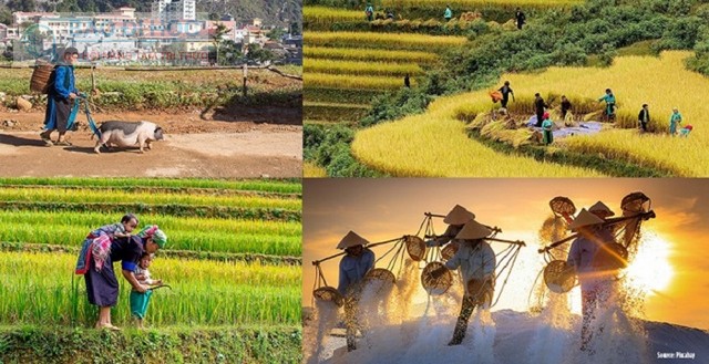 Trung Cấp Từ Xa Ngành Trồng Trọt Và Nông Nghiệp Việt Nam 11 Trung Cấp Từ Xa Ngành Trồng Trọt Và Nông Nghiệp Việt Nam
