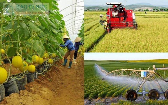 Trung Cấp Từ Xa Ngành Trồng Trọt Và Nông Nghiệp Việt Nam 7 Trung Cấp Từ Xa Ngành Trồng Trọt Và Nông Nghiệp Việt Nam