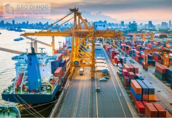 Học Đại Học Từ Xa Ngành Xuất Nhập Khẩu Có Những Gì ? 9 Học Đại Học Từ Xa Ngành Xuất Nhập Khẩu Có Những Gì ?