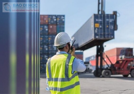 Học Đại Học Từ Xa Ngành Xuất Nhập Khẩu Có Những Gì ? 10 Học Đại Học Từ Xa Ngành Xuất Nhập Khẩu Có Những Gì ?