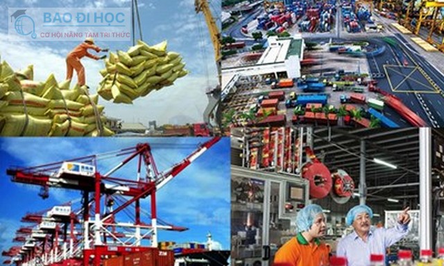 Học Đại Học Từ Xa Ngành Xuất Nhập Khẩu Có Những Gì ? 7 Học Đại Học Từ Xa Ngành Xuất Nhập Khẩu Có Những Gì ?