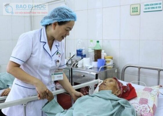 Điều Dưỡng Và Y Tá Là Gì? Phân Biệt Điều Dưỡng Và Y Tá? 2 Điều Dưỡng Và Y Tá Là Gì? Phân Biệt Điều Dưỡng Và Y Tá?