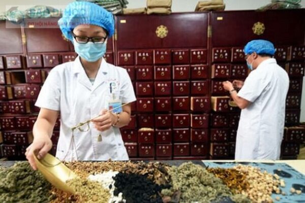 Học Đại Học Từ Xa Ngành Y Học Cổ Truyền Có Những Gì ? 11 Học Đại Học Từ Xa Ngành Y Học Cổ Truyền Có Những Gì ?