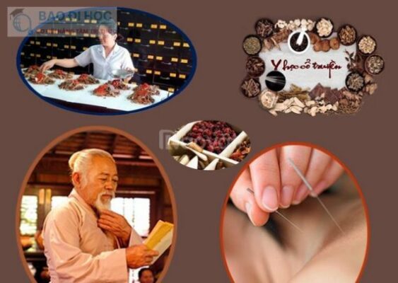 Cao Đẳng Từ Xa Ngành Y Học Cổ Truyền Cần Biết Những Gì ? 1 Cao Đẳng Từ Xa Ngành Y Học Cổ Truyền Cần Biết Những Gì ?