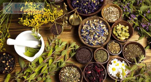 Các Trường Ngành Y Học Cổ Truyền Tốt Nhất Hiện Tại 1 Các Trường Ngành Y Học Cổ Truyền Tốt Nhất Hiện Tại