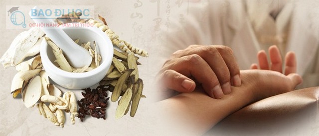 Các Trường Ngành Y Học Cổ Truyền Tốt Nhất Hiện Tại 2 Các Trường Ngành Y Học Cổ Truyền Tốt Nhất Hiện Tại